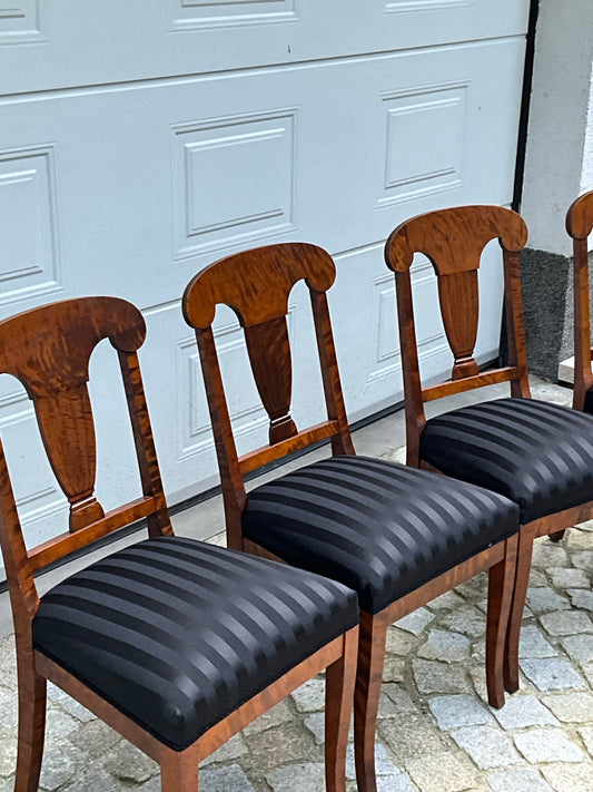 Set von 4 Biedermeierstühlen in Birke