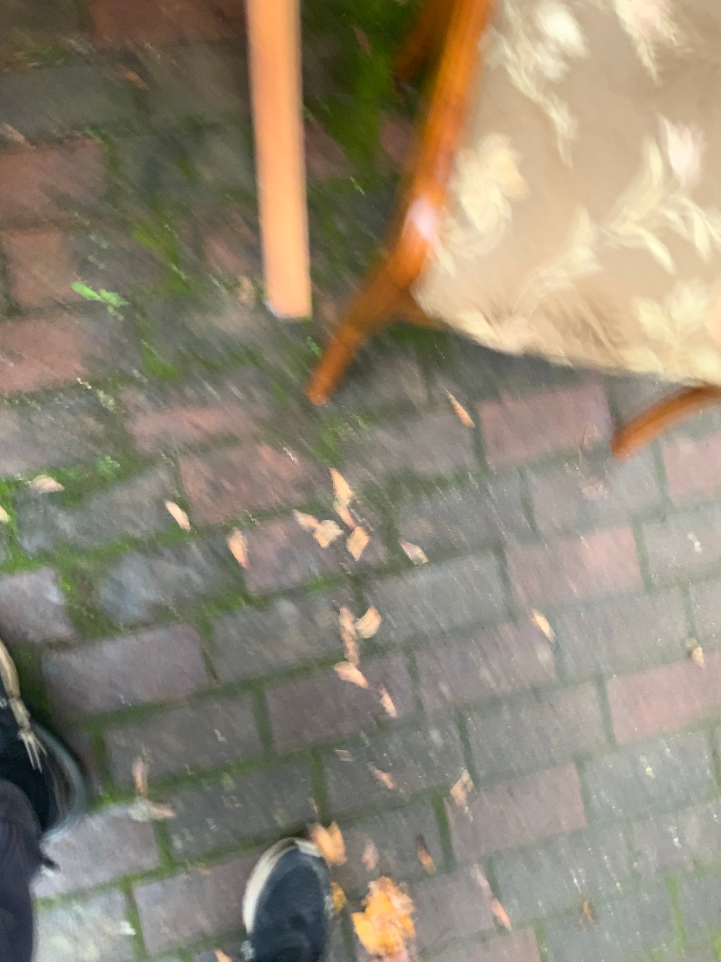 4 Set Biedermeierstühle in Kirschbaum um 1840